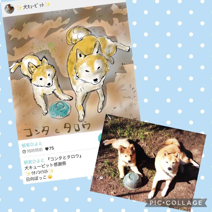 F20df370 f6c6 47e9 bdf7 44b8d23b1883 1636294980591