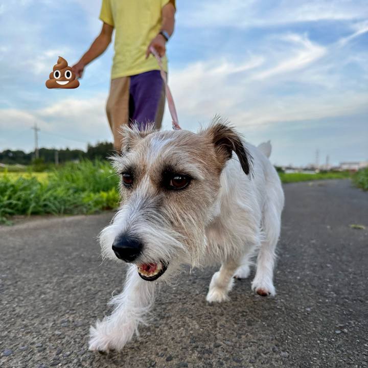 F20df4c7 97bc 4442 b7ed 8c764fe55a91 1693213671727