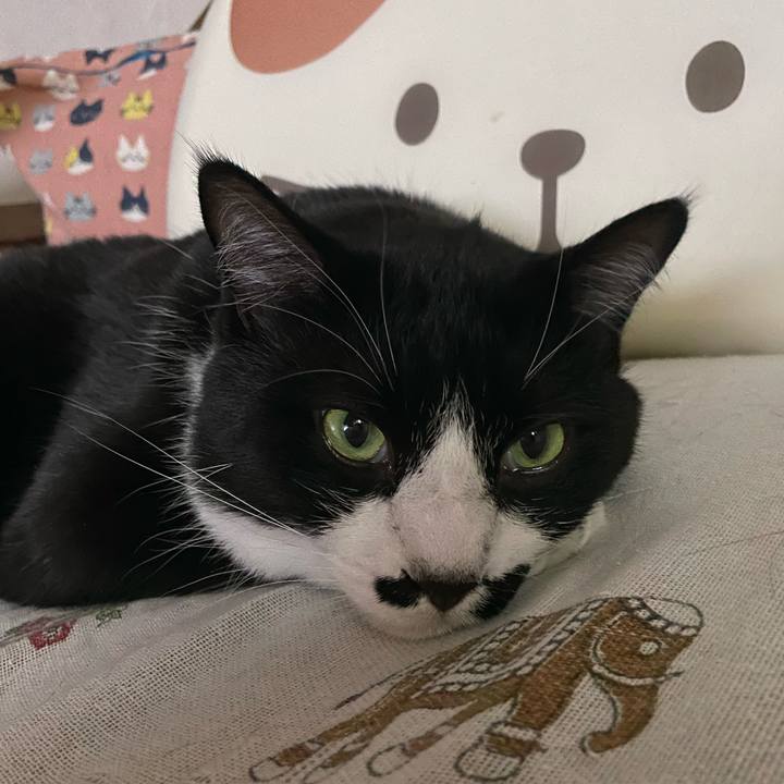 F20e4074 0ebe 460e 91c0 2a030804ac16 1724054483565