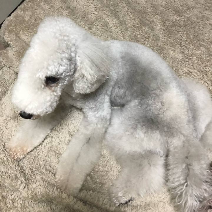 F20e4a19 6b0a 4078 8ca9 f82ab6c3c428 1645347629920