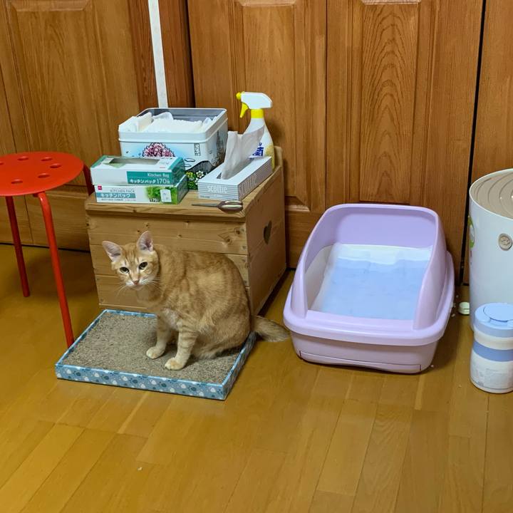 F20e678d d75e 4b19 b0d7 29a0bc693234 1587671686907