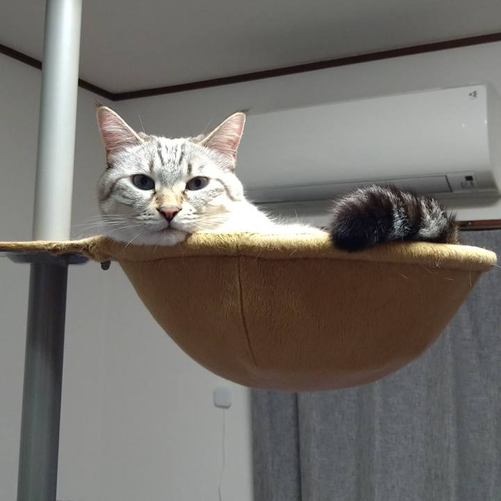 F20e7119 4ac8 47ea a354 88dd32326c68 1633532269309