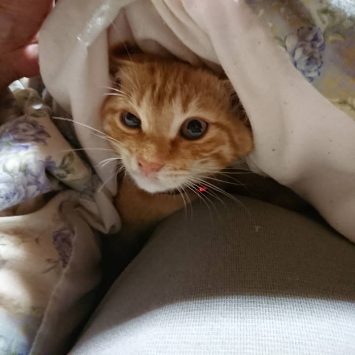 F20e8053 6296 4223 a458 1c9dc1da12e9 1633898940056