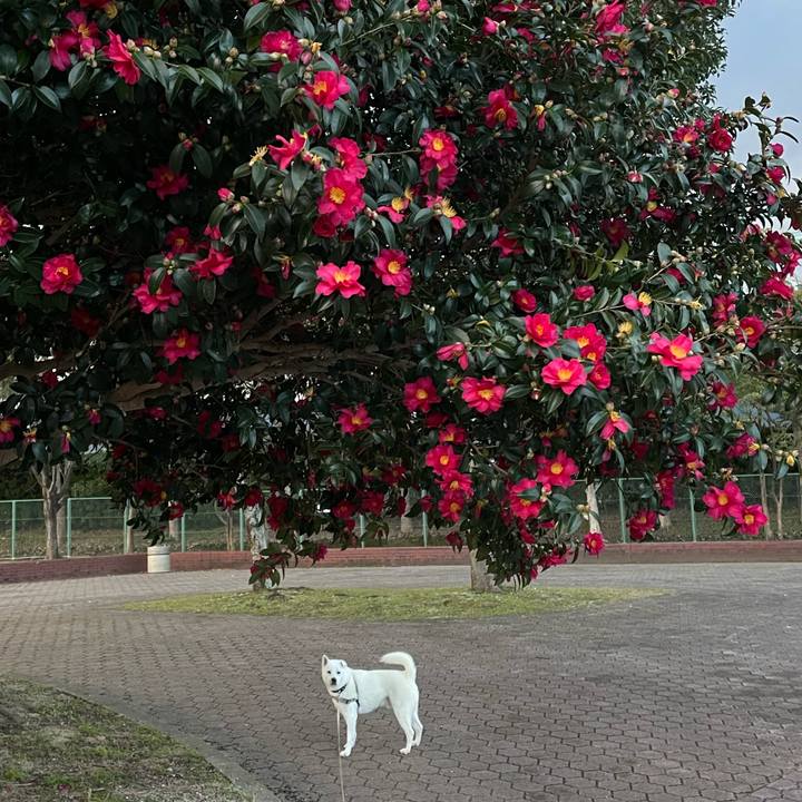 F20e8164 d9f1 4901 bbfc b6fd304ac929 1735339170321