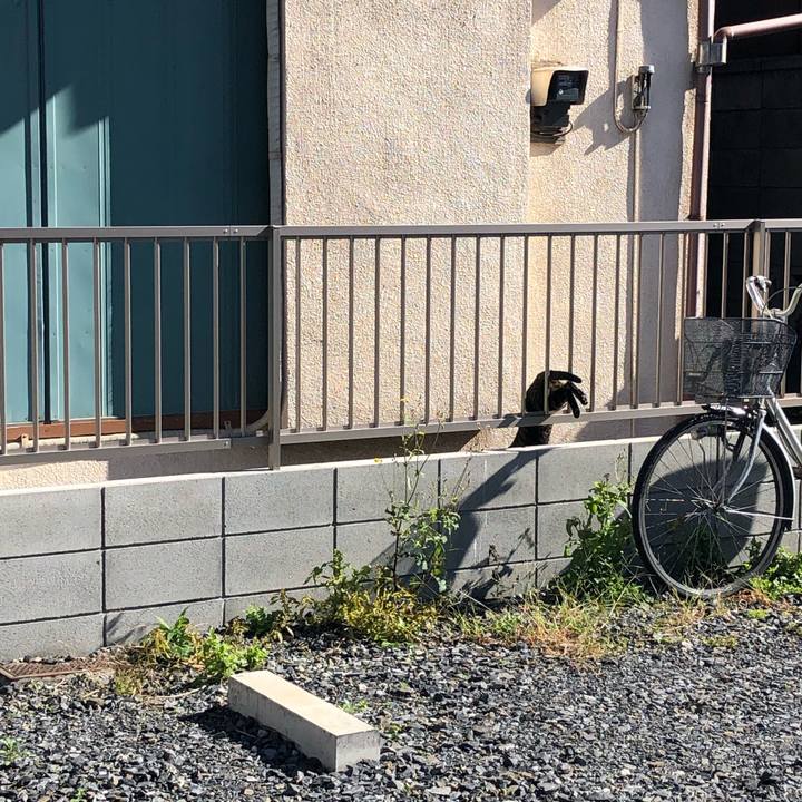 F20e8858 500d 4df2 ba30 cc5e24315eab 1542311733866