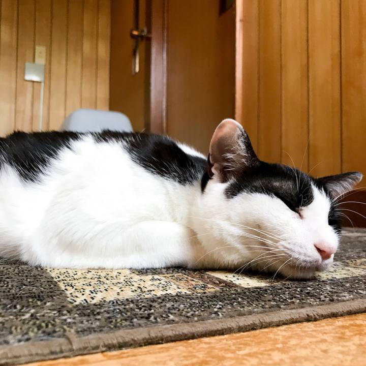 F20e99f0 a865 4549 a602 d8ece4fa665d 1533219631335