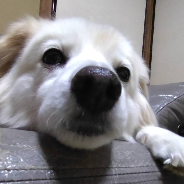 F20ea74e 11c0 4d13 aaf4 766cf1829b1e 1645847315985