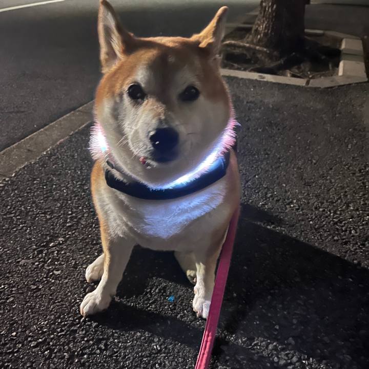 F20eb10a 3ea9 4463 be5f 5e44b85a7ea9 1703865038712