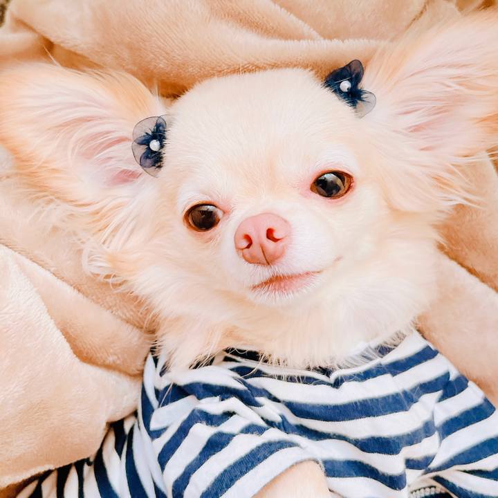 F20ed261 0ce4 4583 84af ec19b2cfe993 1656391988330