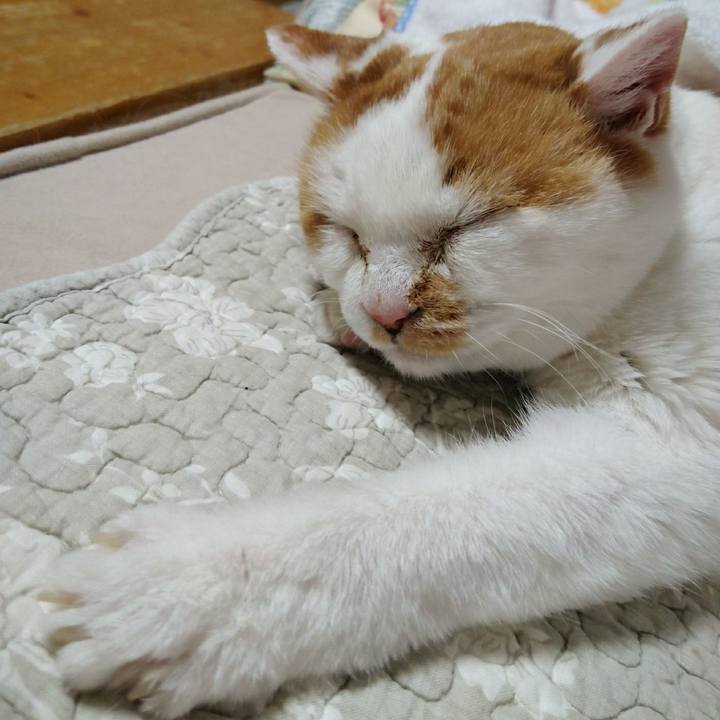 F20ee379 ee84 47e8 a60d 12a3331bd1cd 1556715369942