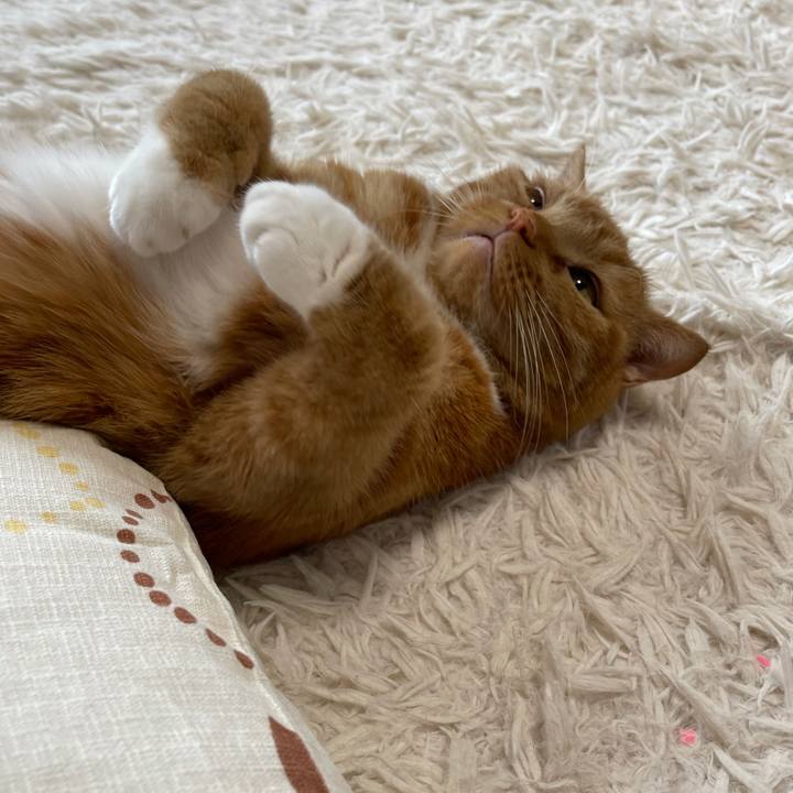 F20ee9f9 b0fa 43e8 bdaf 0830117d6027 1633758393634