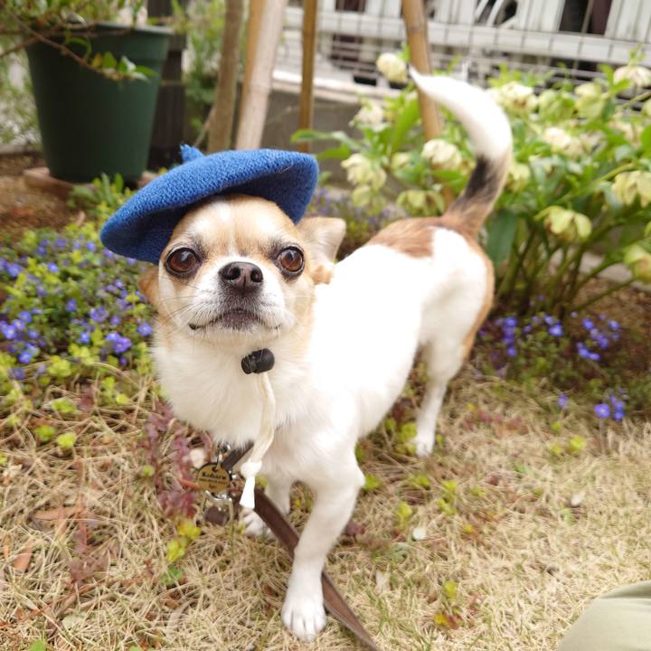 F20f0a1a 90c5 4d36 bf81 b6df6e1c98da 1711973853885