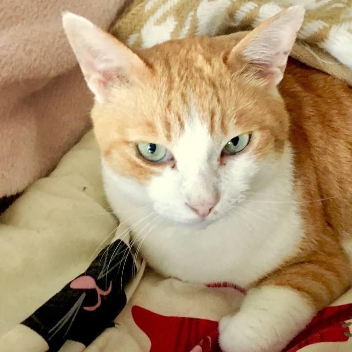 F20f3856 0888 422c a286 f5b62367749c 1561344183139