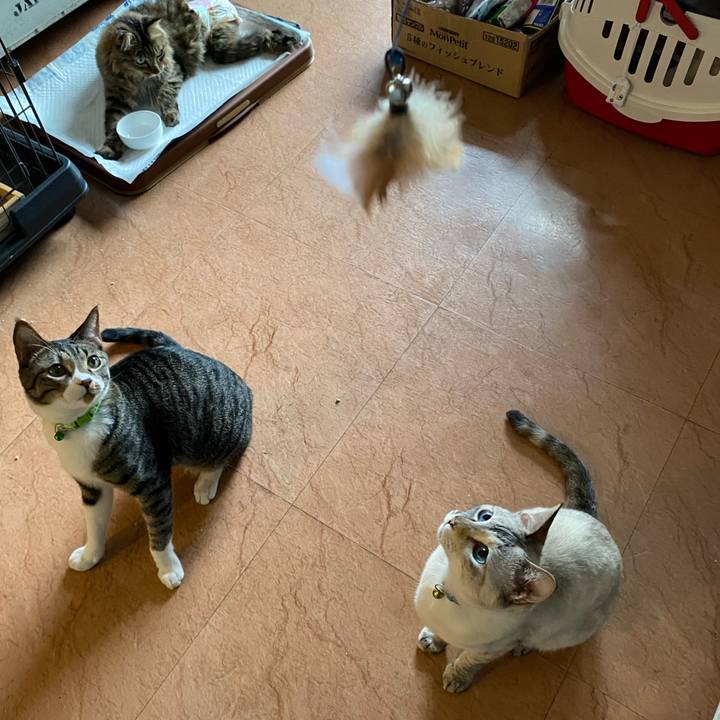 F20f3c82 6829 4831 9f50 4ed58627f63e 1721122185958