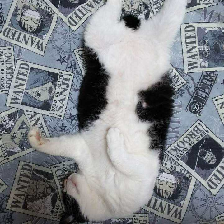 F20f67bb 4124 4471 a5d7 25508eece49c 1535016136057