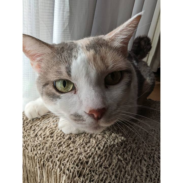 F20f76de 5cf6 489e be78 c3debd4f2941 1695612213063