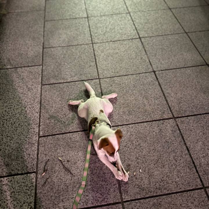 F20fafc5 e12c 4131 b504 abb19d762251 1752323168576