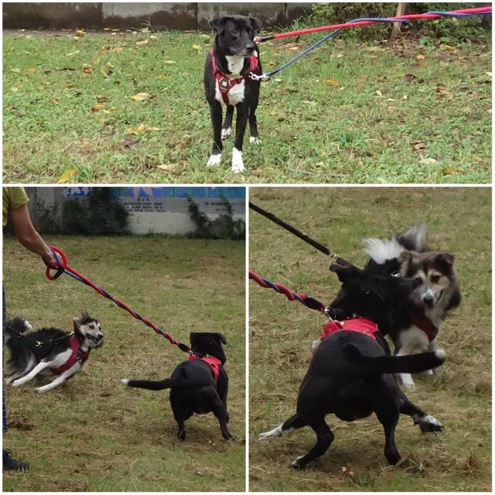 F20fbc2f 09f2 4420 a20b 322fb32bc4a5 1632527328340