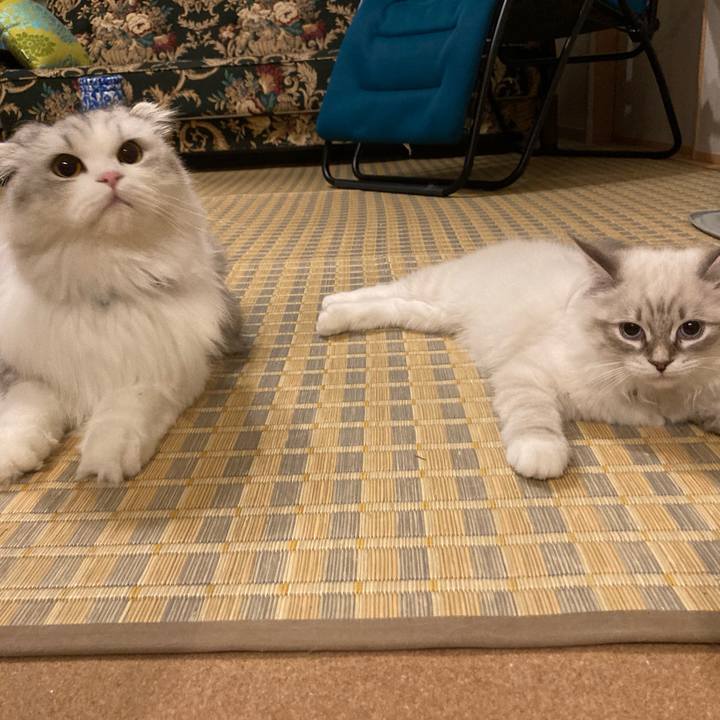 F20fe828 daed 48b5 8cb6 9cd635b28d4a 1670625771447