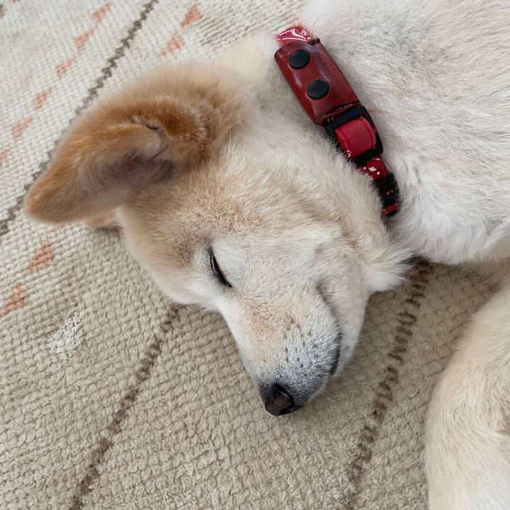 F2101613 bf9d 42a3 8011 20b1418f5f32 1686348472887