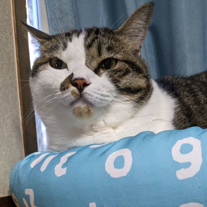 F2101838 9b84 4615 bee9 019e6c73f431 1695078260347