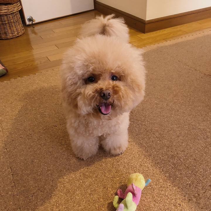 F2104cdf dd8d 4a6e 816b 62ff965f5fae 1533183181487