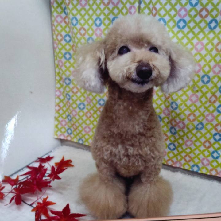 F210616a dd96 4541 89a7 24dc0174284d 1631683506895