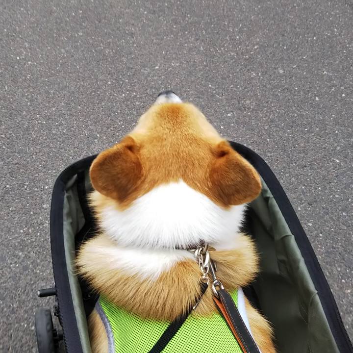 F2106467 dad8 4ab3 bb22 60a21e146fe0 1531701344175