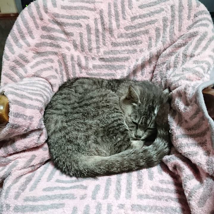 F21066e7 8d73 487d ab2c 03e8cfeebaf3 1590012132607