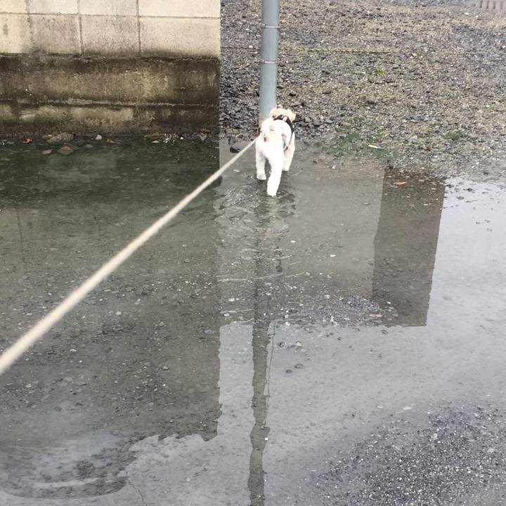 F210823f 8703 46fc 88bf 67c35ebffc8c 1538288613462