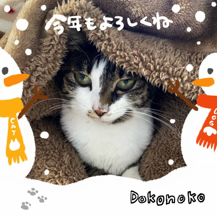 F210a4e6 fe3f 4412 9868 bc52967e77ea 1704494057029