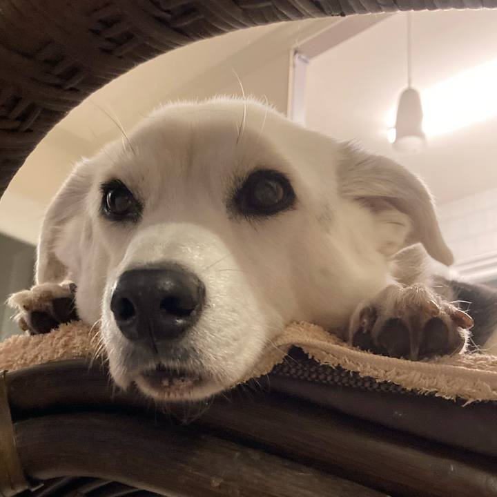 F210a8d2 6fb1 41bb 8c15 870819db23c1 1700658087769