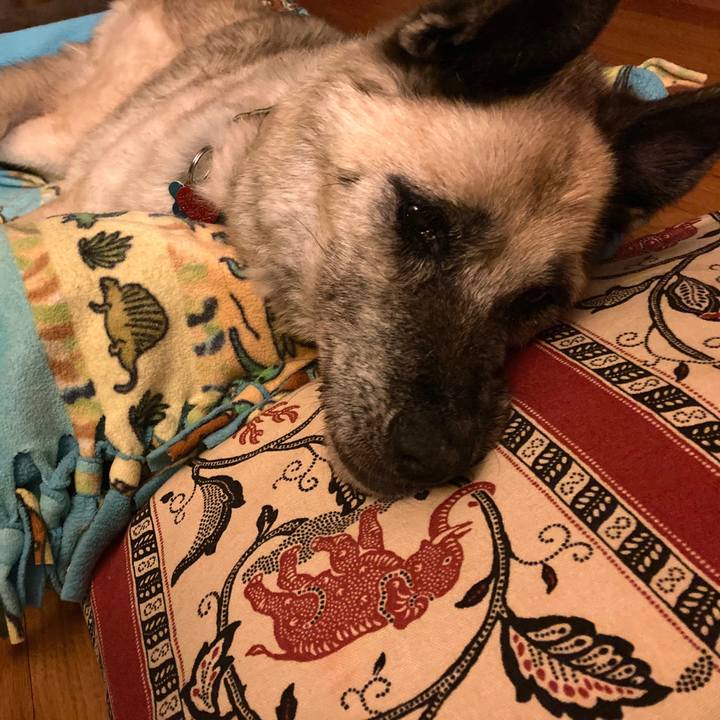 F210ac97 596e 4a37 9581 480424859d1e 1598494777780