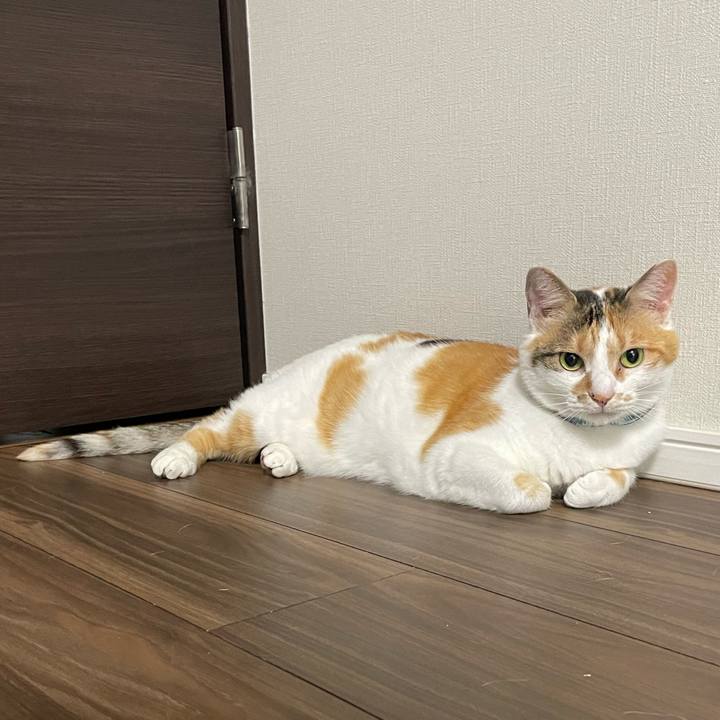 F210b6b6 5fe7 4e99 b73a a005cd8f5c60 1719531398153