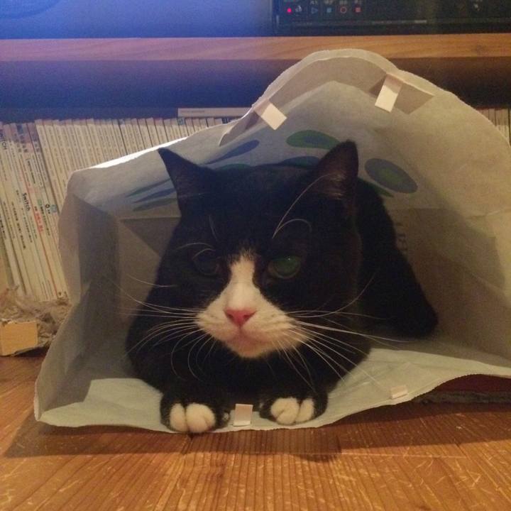 F210cb51 d238 43ef bf6b 8103c238bef6 1539690783071