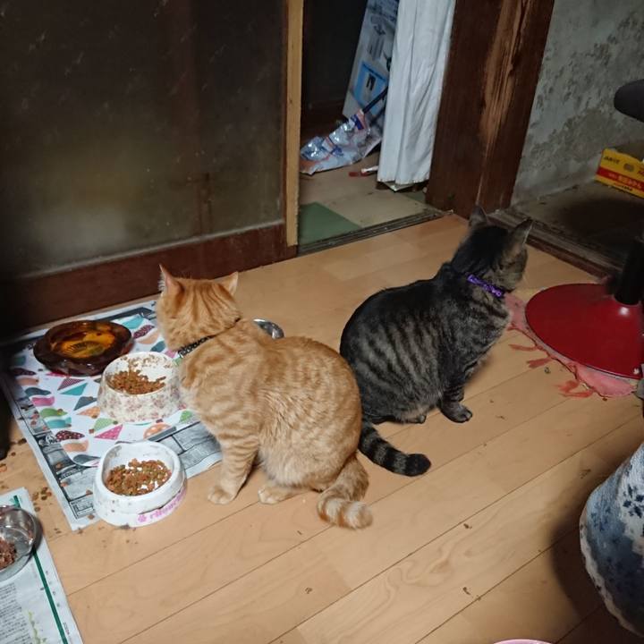 F210d84f 1e17 4146 b178 d6f0f6d02777 1652269223822