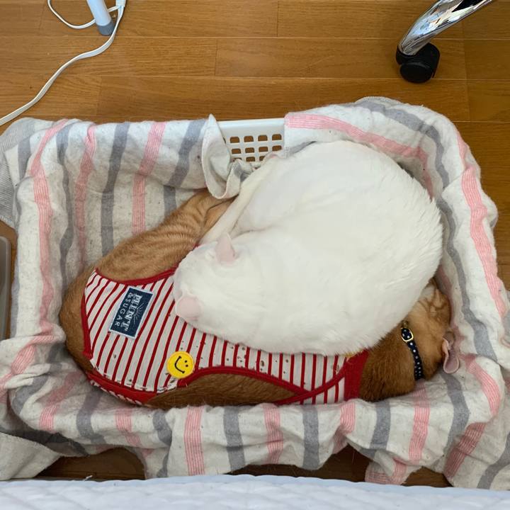 F210f006 a627 436e 9c93 1f17aa63eb8c 1585446186897