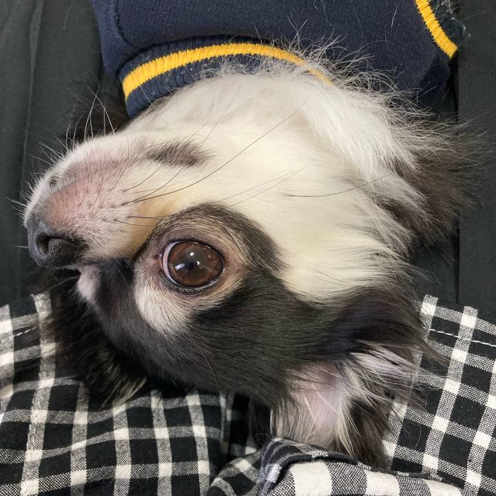 F2112128 04c5 4327 bd5c 562b2e65a9a8 1651401888821