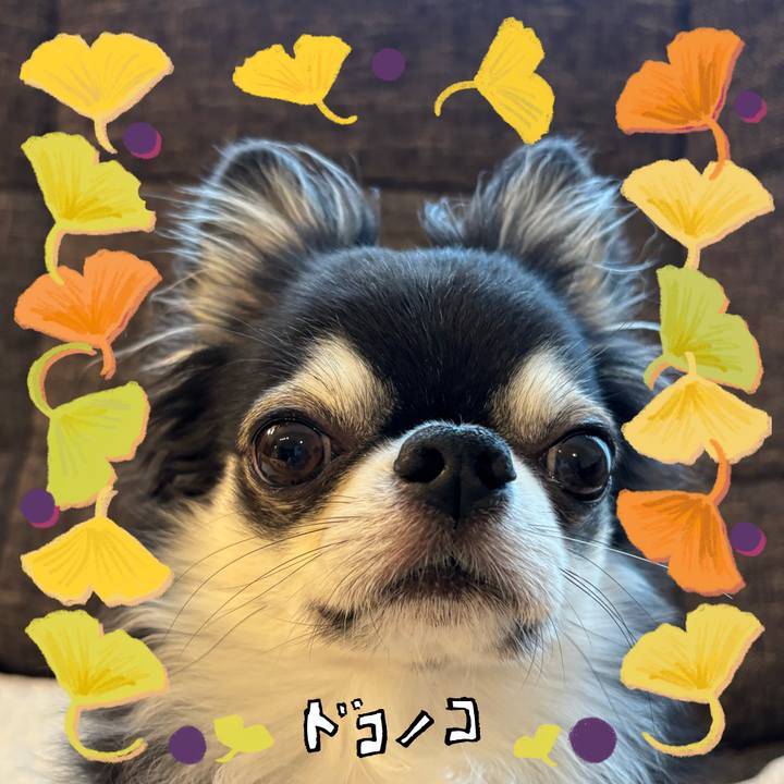 F2115bf6 bd46 45d2 90e9 4f7a86f36ac1 1729984163446