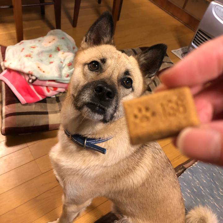 F211783c 0dda 4784 96cb 87590dbd12fb 1542891181833