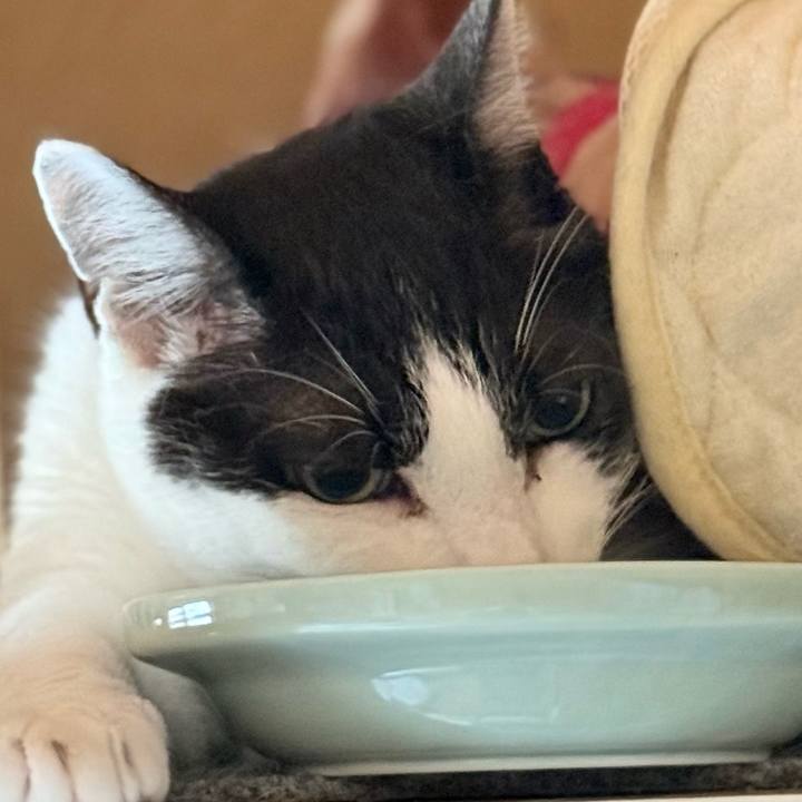 F211bbe2 da5b 4e7f 8987 2f6874b3cc8e 1752286936241