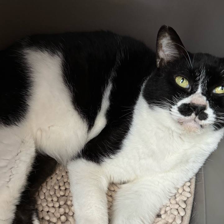 F211d7c4 9620 4881 ac67 ebeb4caf5c3f 1718932976368