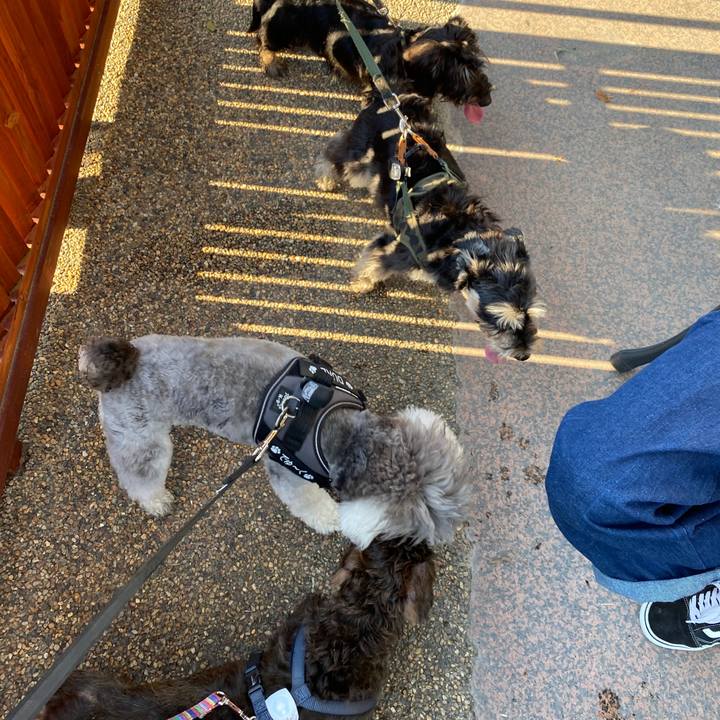 F211de92 1a36 46e3 84a4 f7a8bd3ccc29 1597483487987