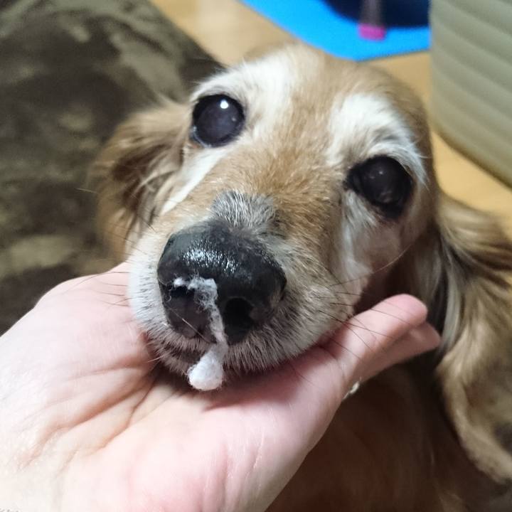 F21239a9 e5cf 467b 9da8 3959ddd80bde 1565802347764