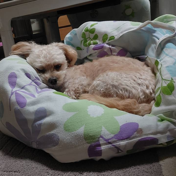 F212456d 165b 4ff9 9d15 17a5934e749f 1635039435363