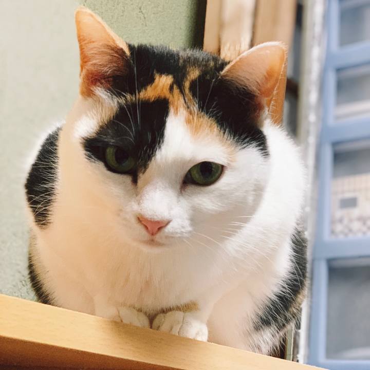 F21278a0 a0dd 4800 a125 32e59eb48b60 1554257974424