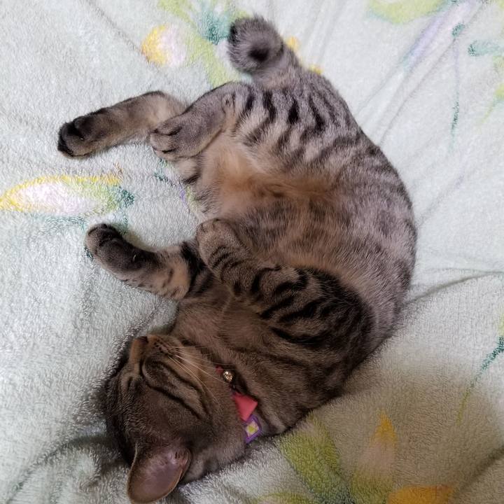 F212b8bf 8c50 4aed 8c11 752f994f2370 1683085651166