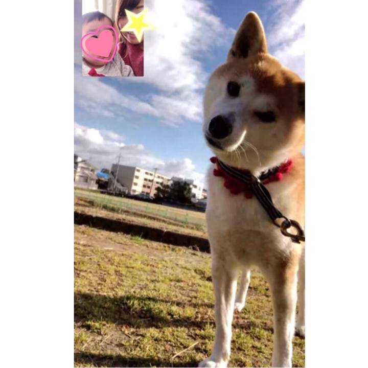 F212d2ef 807b 490f b390 16d3d0d45c72 1548034826711