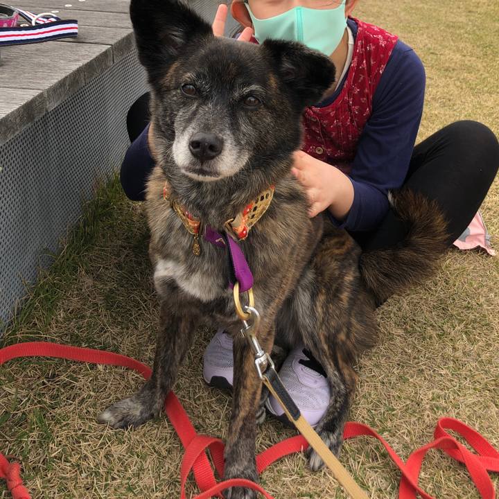 F212ebdc 35ac 43bd 999e c7fd46c3682b 1614612197723