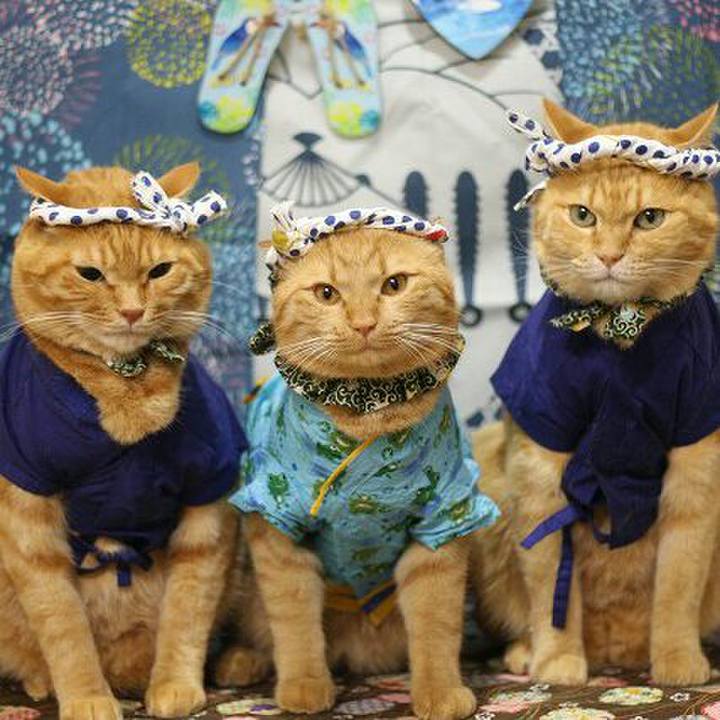 F2130d4c 8439 497f b246 3439826d6e04 1565710540868